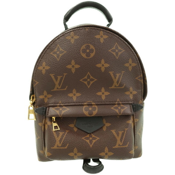 Louis Vuitton Backpack Springs Palm Monogram - Picture 2 of 8